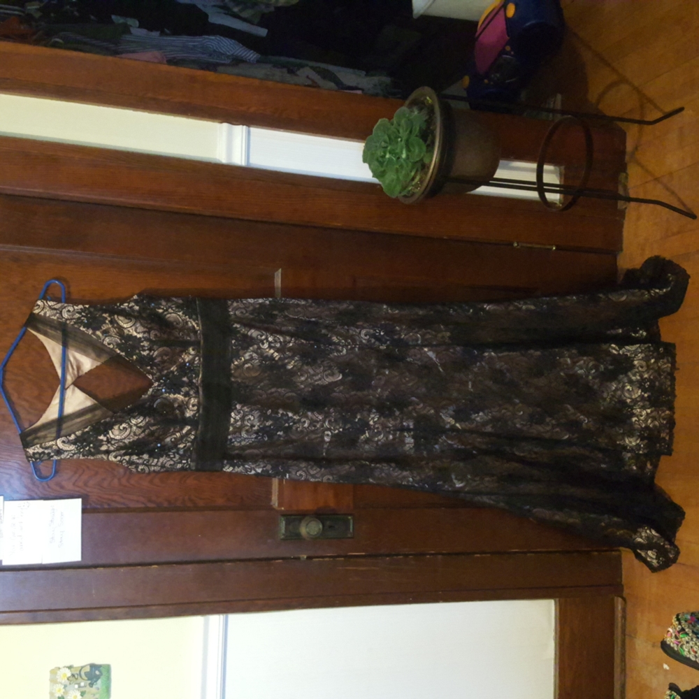 Cartise Fit and Flair Gown - size 10 - 12